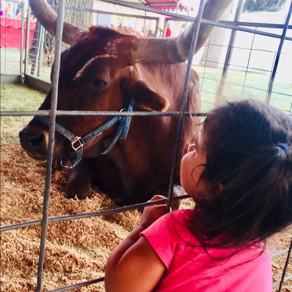 Fair fun!!! - Picture 3 of 6